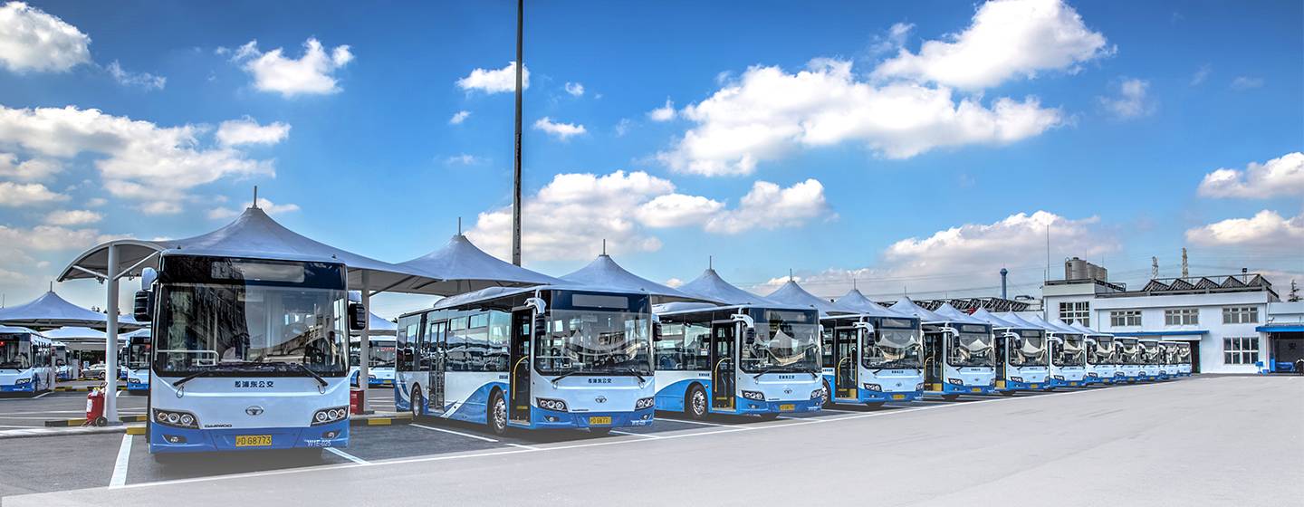 New energy bus
